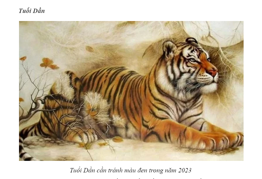 tuoi dan 2023