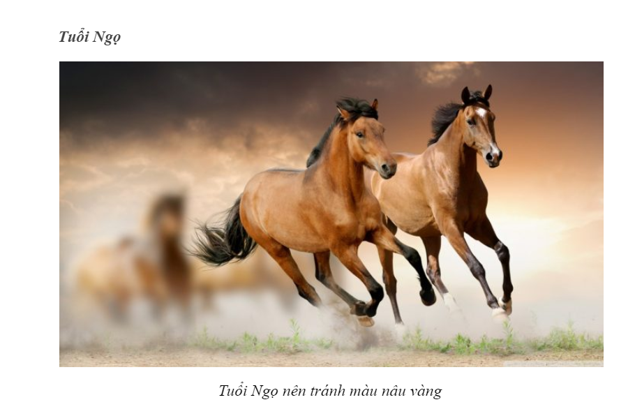 tuoi ngo 2023